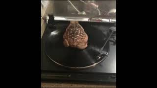 Spinning toad with Alucard (from Hellsing) theme