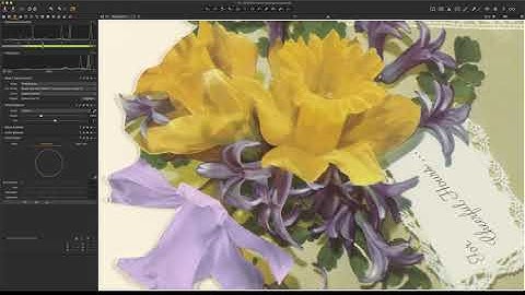 basICColor Input 6 Pro Software Demonstration