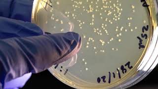 Podcast: COVID-19 vaccine development, patient data and isolation diaries