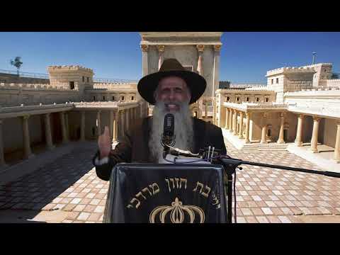 הרב מאיר דוד שמואלי -  הכל הולך אחר הסוף