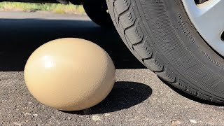 Big Egg Vs Car, Coca Cola Zero, Powerade, Fanta, Sprite, Fruko And Mentos