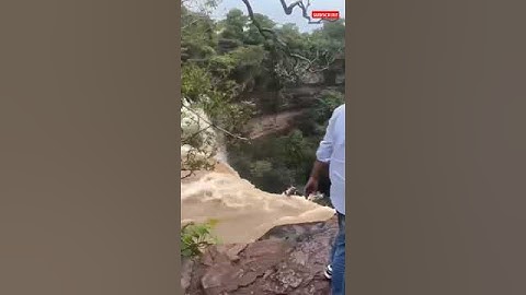 View Point Flood || வெள்ளத்தில் அடித்துச் செல்லப்பட்ட மாடுகள்! -