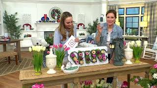 Illuminated Spring Floral Wall Decor by Valerie on QVC