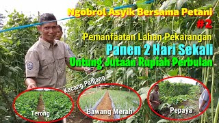 Kisah Petani Sukses | Meraup Untung Jutaan dari Pemanfaatan Lahan Pekarangan