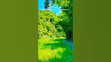 Thumbnail of ［夢田（Dream Land）］~ 齊豫 • 潘越雲（Chyi Yu • Michelle Pan）/ 貢寮文秀坑古道（Wenxiukeng Ancient Road in Gongliao）