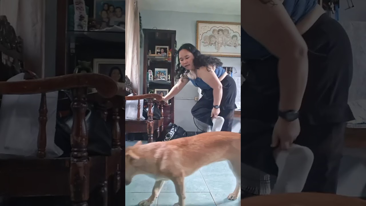 Going home to my Porchia(pet dog)