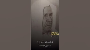 آيات من الذكر الحكيم🌼 | تلاوات عطرة ٨٤🥺✨🌹
