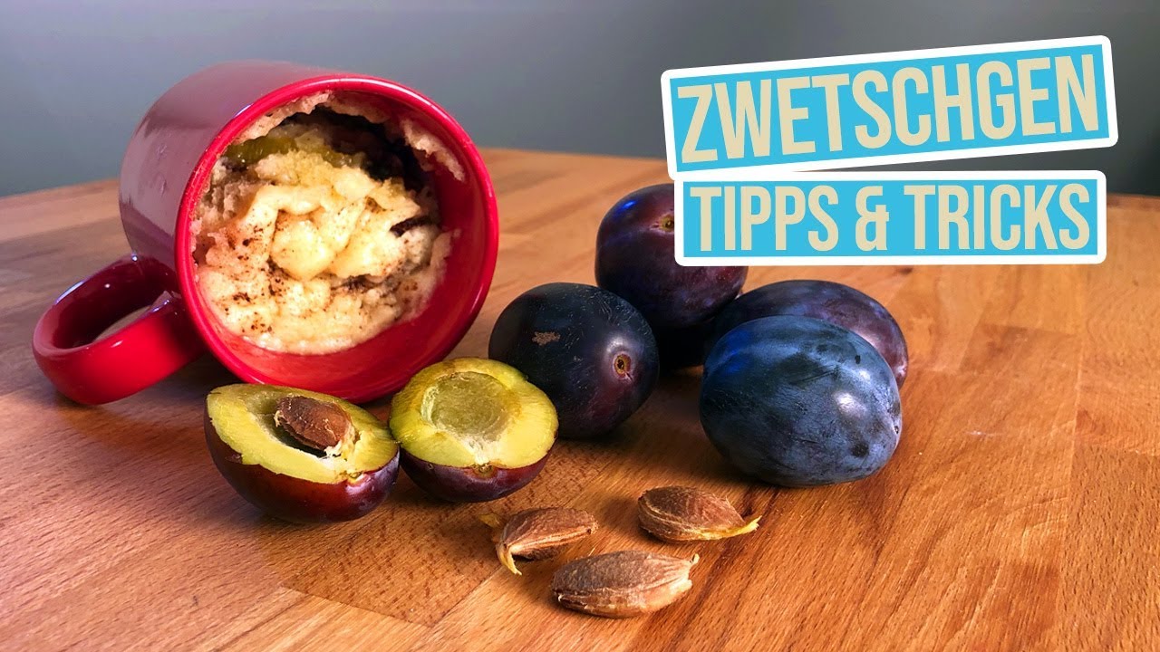 Zwetschgen | verarbeiten und haltbar machen + leckeres Rezept