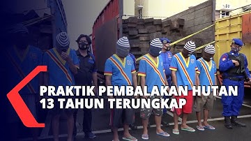 Praktik Pembalakan Hutan 13 tahun Terungkap