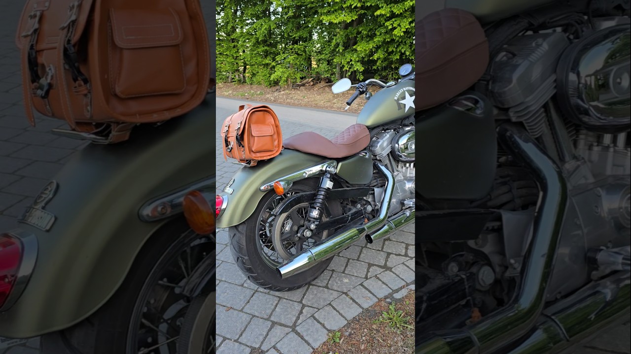 Harley-Davidson temu luggage bag 
