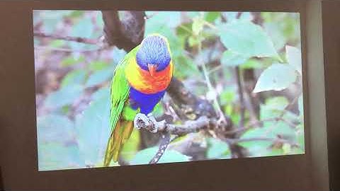 Smartldea S1080 S2 wzatco C2 build-in android 9.0 2G RAM 32G ROM 4K support home theater projector