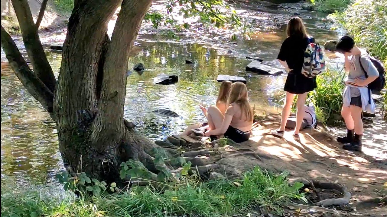 WELLHOLME PARK, BRIGHOUSE