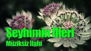 Şeyhimin illeri | Müziksiz İlahi Resimi