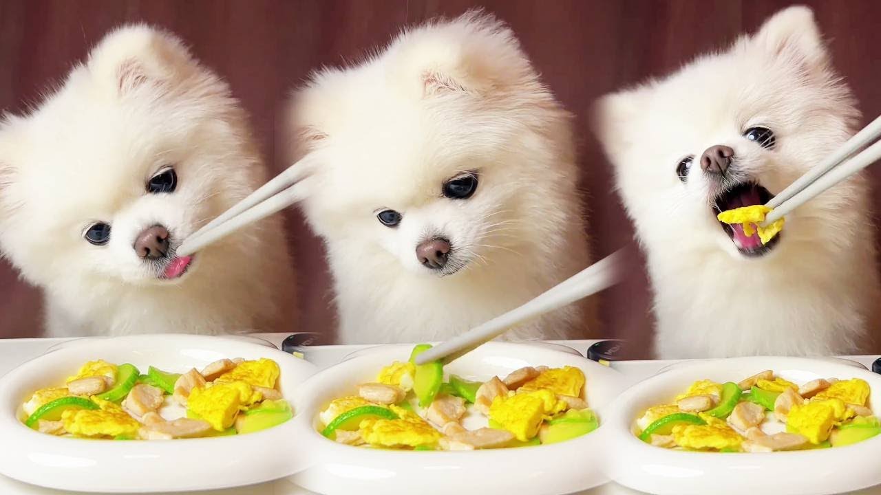 Today I'm having chicken and zucchini scrambled eggs.