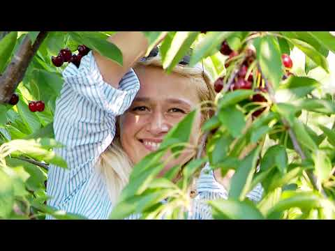 შატო ატენი - Chateau Ateni