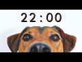 22 minute timer for school and homework  dog bark alarm sound