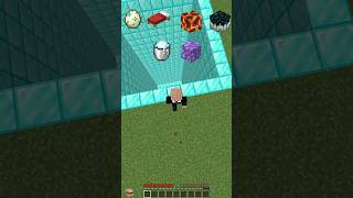 Celebrity Minecraft Fall Damage Test… 💀 #minecraft #minecraftshorts Net Worth
