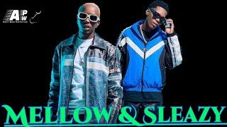 Mellow & Sleazy, Tman Xpress - Bayazi feat. Nkulee501 & Skroef28