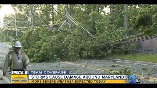 Powerful storms down trees in eastern Baltimore County