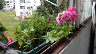 Panasonic CM1 @ 4K