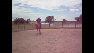 DSCI0388 mpeg
