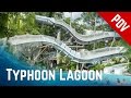 ALL RIDES at Disney's Typhoon Lagoon Water Park, Orlando Florida