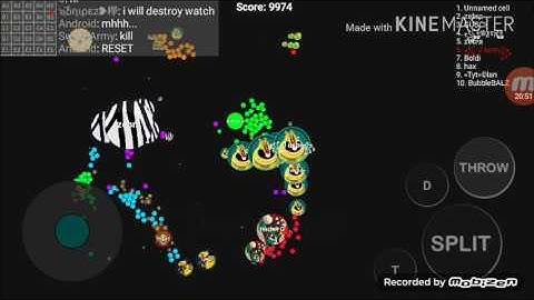 SELF FEED DOUBLESPLIT DESTRUCTION/JaSoN Blob