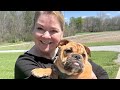 Laugh Your Face Off! and a new puppy: Here's what we did this weekend