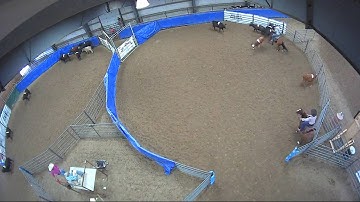 Big Sky Ranch Sorting Saddle Series #5 - #8 RANCH HAND (2 CAP SORTER) - Round #1 - Ride #42