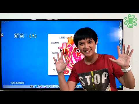[108會考自然科]37題 腦部代謝後的廢物血液最先到達哪個腔室(張妤老師講解)