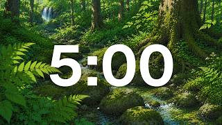 5 Minute Timer - Peaceful Forest