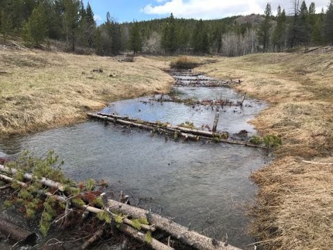 Snow Science | Correlation Between Water and Snowpack