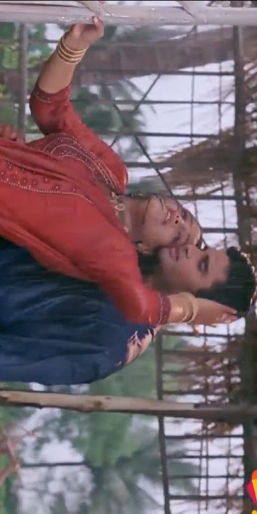 dil tera deewana “Best Hindi Romantic Songs | Bollywood Love Hits #HindiRomanticSong #BollywoodLove