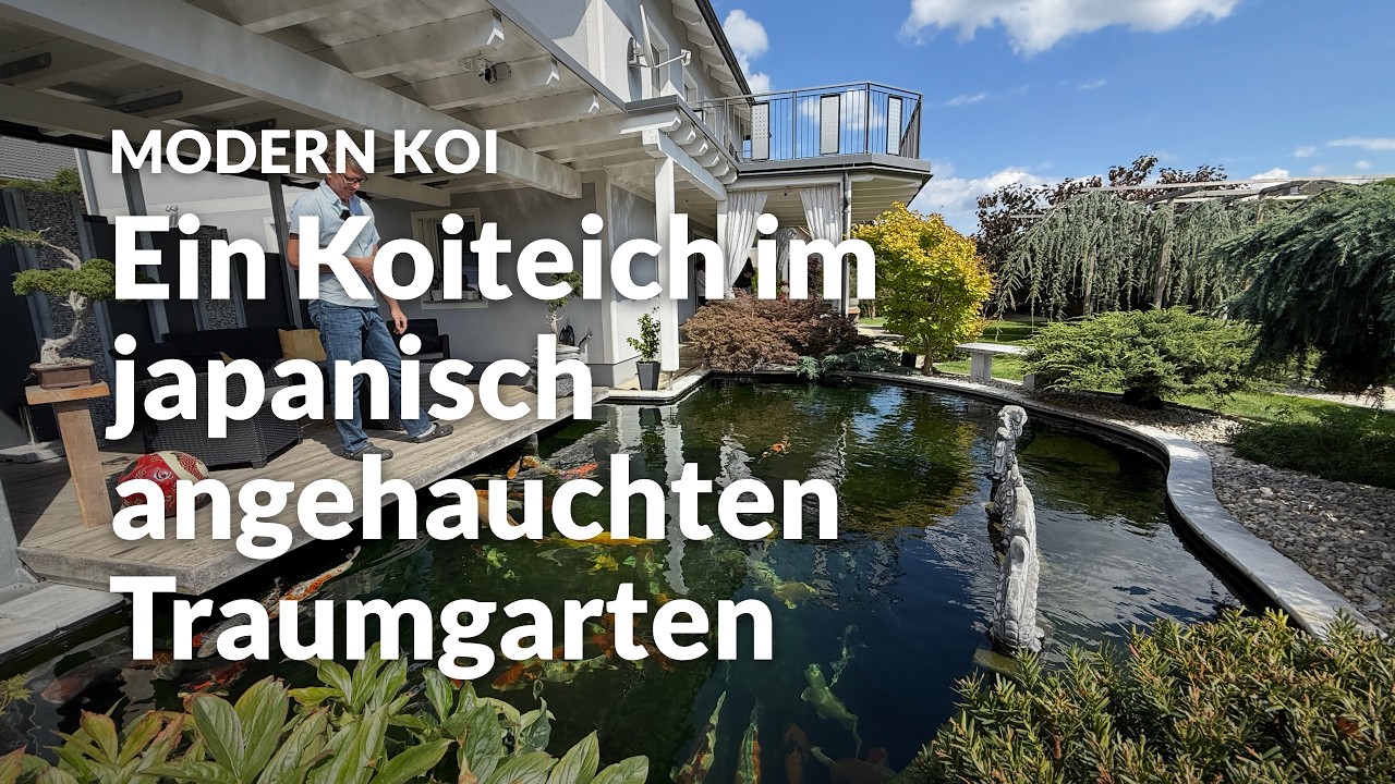 Petra und Karls 41.000l Koiteich | Modern Koi Blog #8259