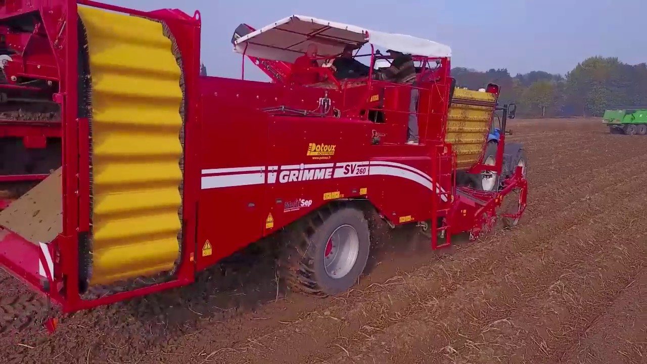 Arracheuses Grimme SV260 et GT300 à BUSNES