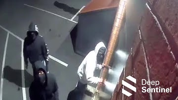 STOPPED by Deep Sentinel #81 - Criminals Roll Up, Live Guards Roll Out