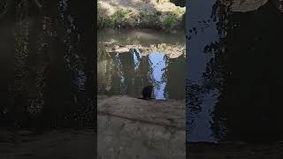 29 Августа 2025 Г.