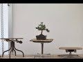 Making a Bonsai Turntable for FREE