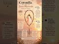 Coronilla a la Divina Misericordia