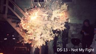 DS-13 - Not My Fight