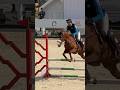 Free riding trick riding bareback | funny and cute horse videos | horse show | سباق الخيل #shorts
