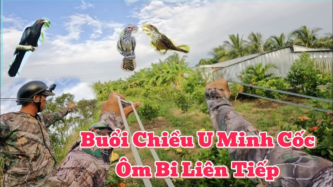 Phần Hai Cùng Anh Em Cà Mau Team Tài Thiên Vlogs Chiến Tu Hú Ôm Bi Liên Tiếp ☘️😂
