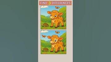 Find four differences,Spot The Difference #