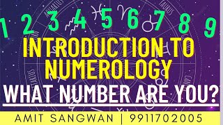 What Number Person Are You ? | Understanding Numerology