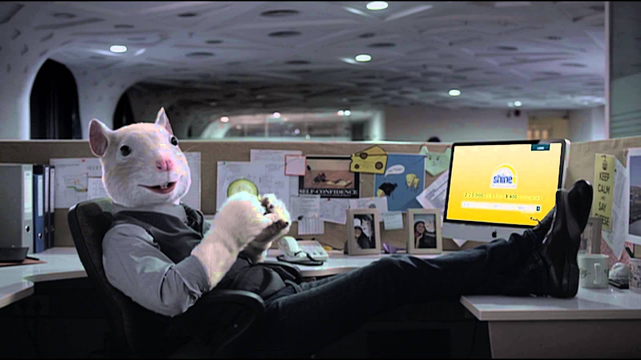 shine job posting