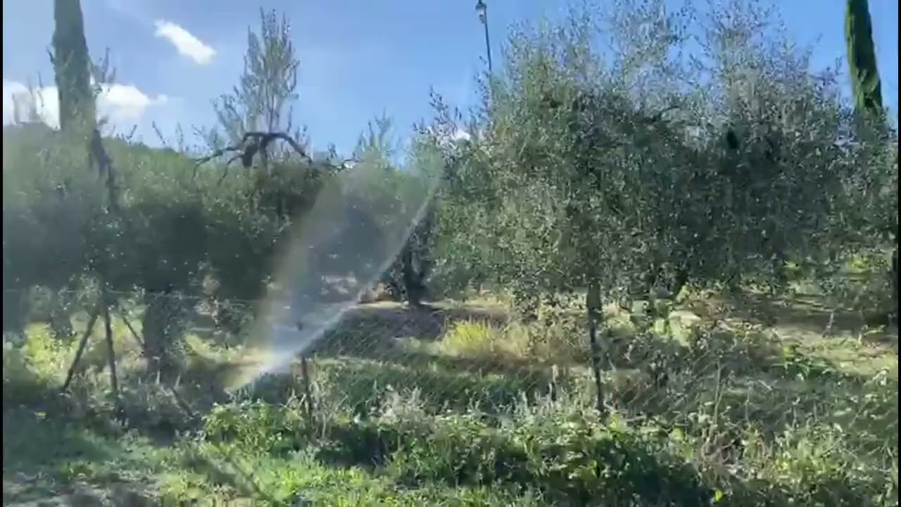 Proprietà a Chianni