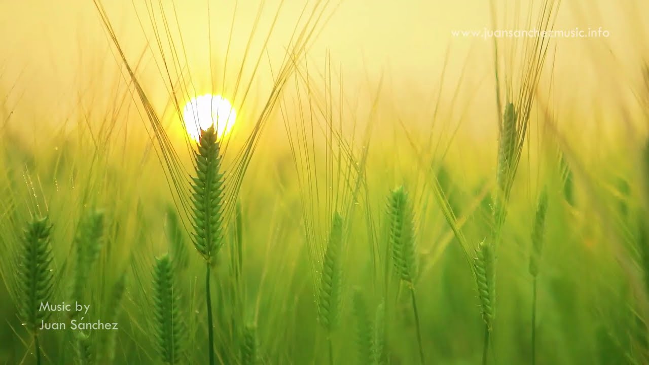 New Age Music, Peaceful Piano Music, Musica New Age, New Age Piano; Juan Sanchez