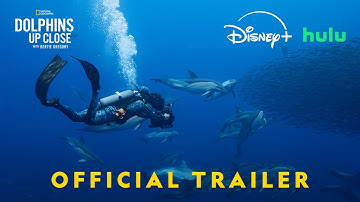 Dolphins Up Close with Bertie Gregory | Official Trailer | National Geographic