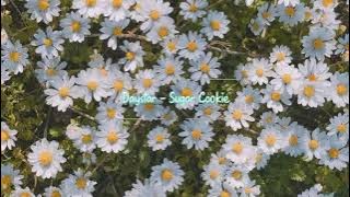 Daystar - Sugar Cookie || aesthetic backsound