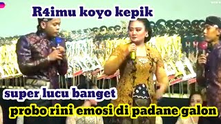 Lucu tiada banding. Probo rini muring muring goro goro ti padakne galon. Ngakak polll